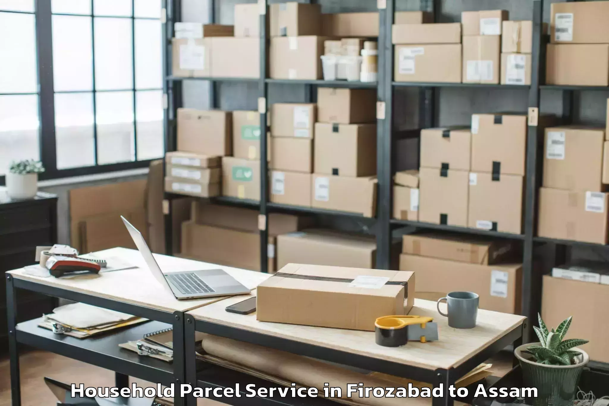 Book Firozabad to Barpathar Household Parcel Online